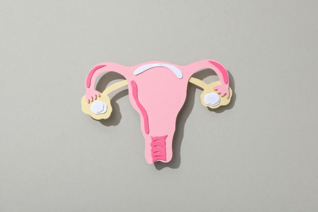 vagina na menopausa