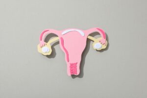 vagina na menopausa